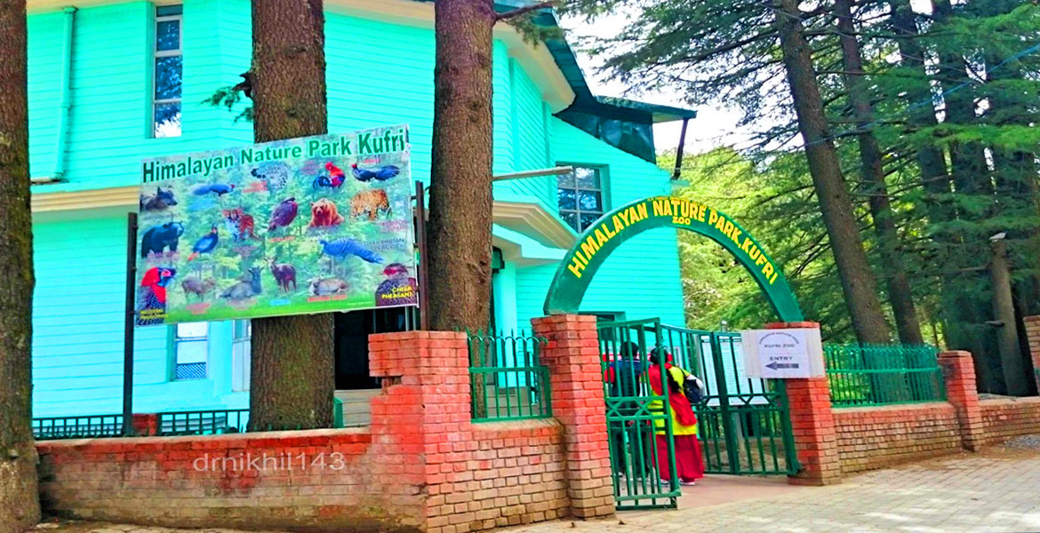 Hotel King Palace Shimla