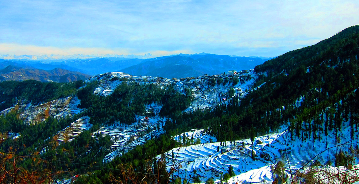 Hotel King Palace Shimla